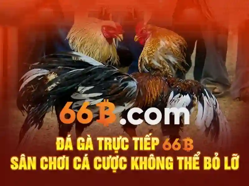 Giải Đáp Các Câu Hỏi Thường Gặp 66B - 66B