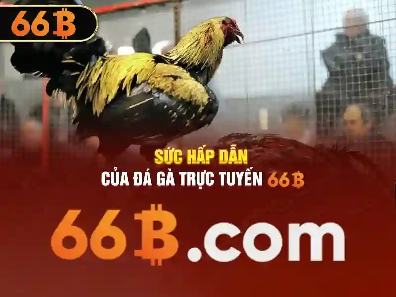  Trải Nghiệm 66B - 66B