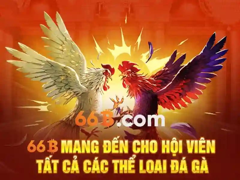 Rút Tiền 66B: Hướng Dẫn Chơi Slot Và Cách Nhận Thưởng Lớn - 66B