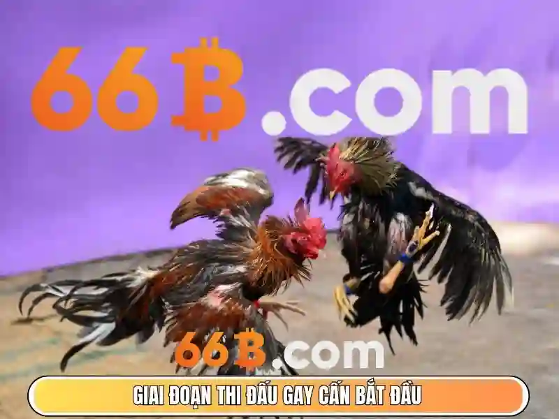 66b - Trải nghiệm casino đỉnh cao trên trang chủ