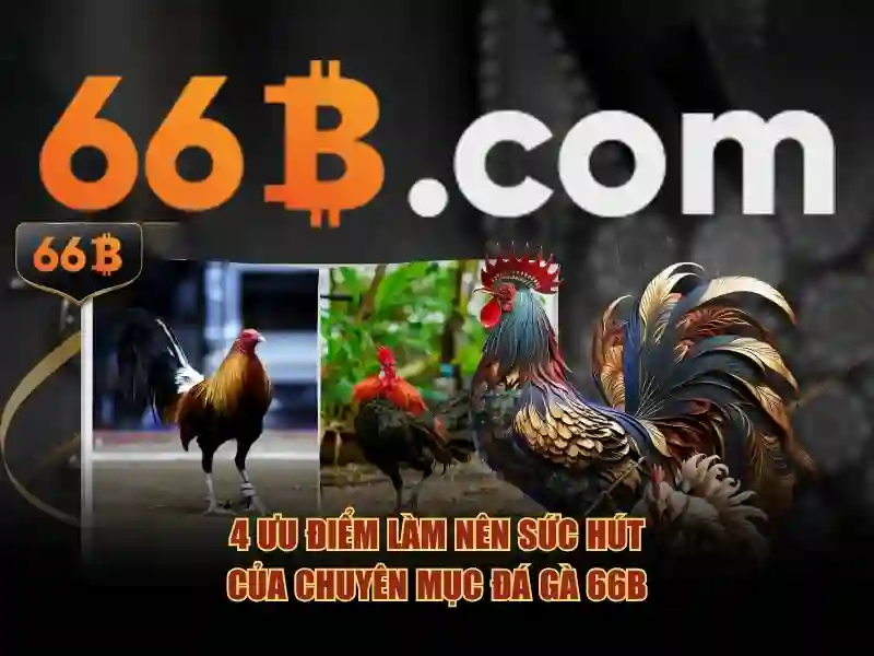 Sảnh Game Slot 66B – Vừa Chơi Vừa Nhận Thưởng Mỗi Ngày - 66B