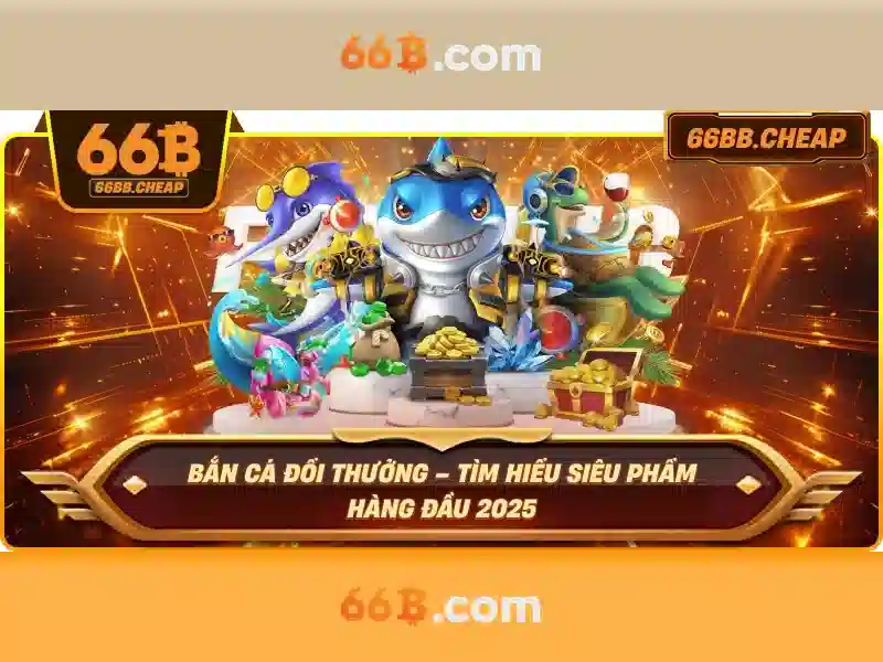 cách sử dụng 66B - 66B
