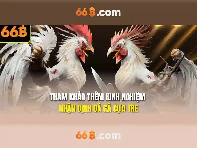 đổi thưởng Slot - 66B