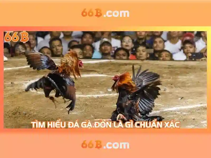  bắn cá - 66B