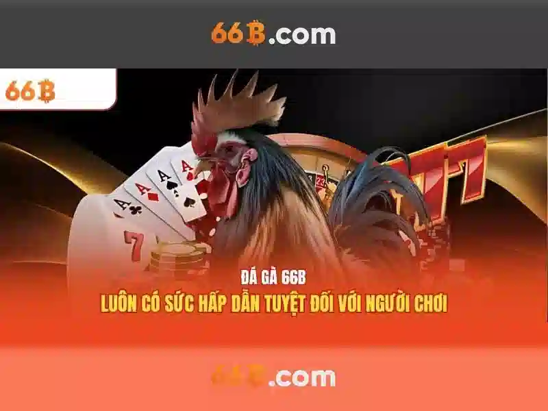 dữ liệu 66B - 66B