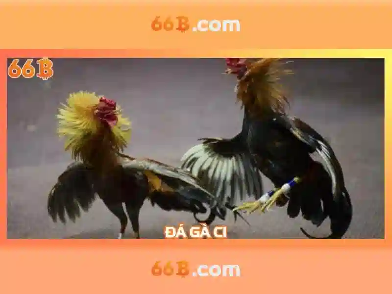 66B - 66B