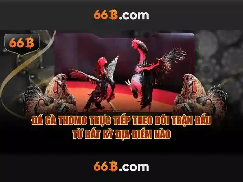 66b - Trải nghiệm casino đỉnh cao trên trang chủ