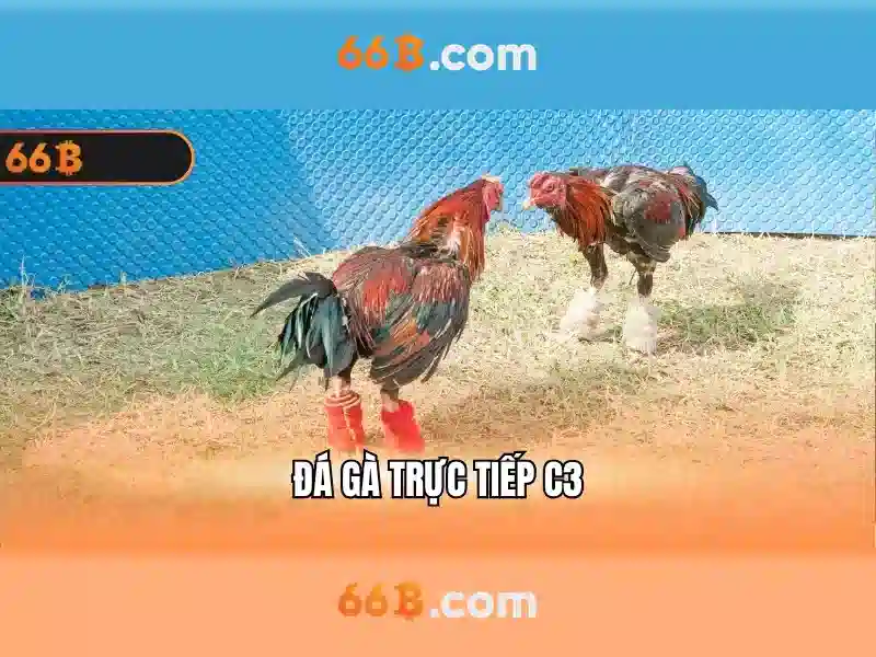  code 66b Slot - 66B