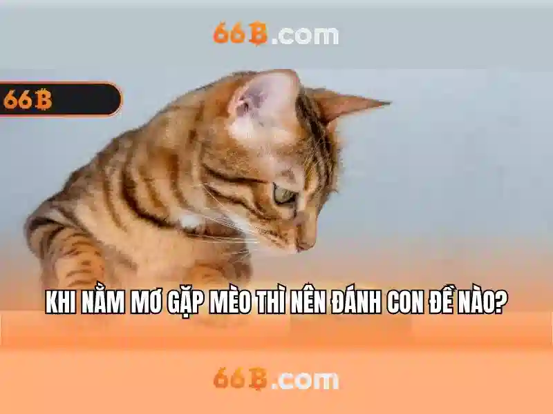  trải nghiệm slot - 66B