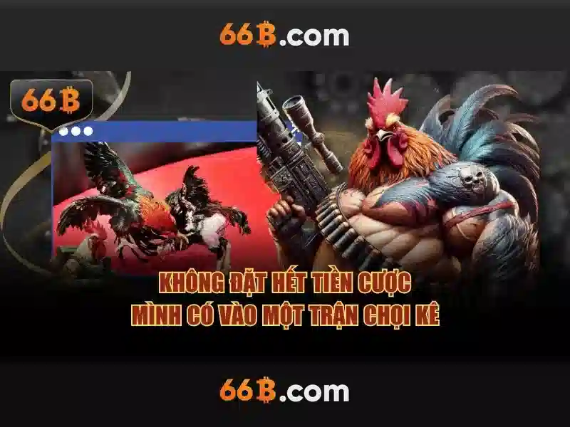  trải nghiệm cá cược - 66B