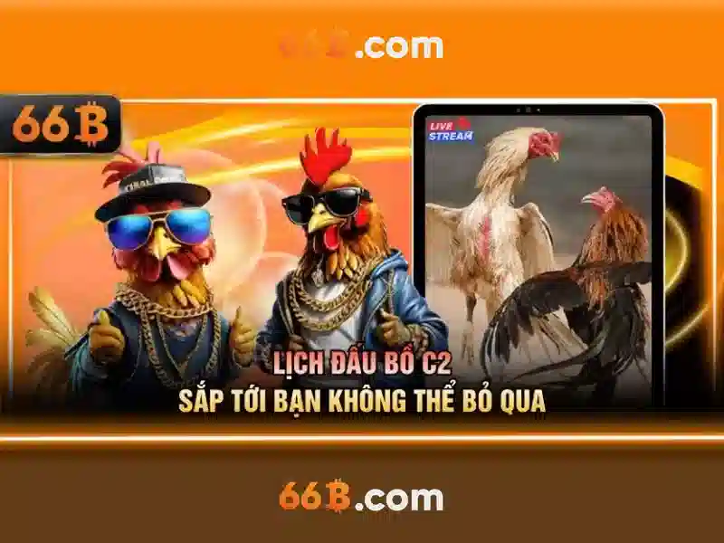 ứng dụng 66B - 66B
