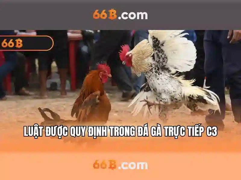 66B Slot – Hỗ Trợ 66B Chuyên Nghiệp, Trải Nghiệm Vượt Trội - 66B