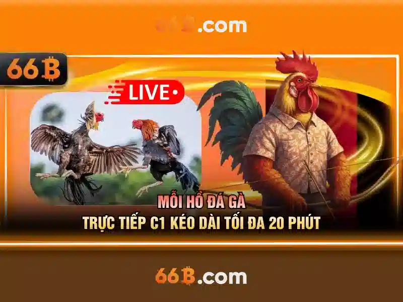 66B Slot - 66B