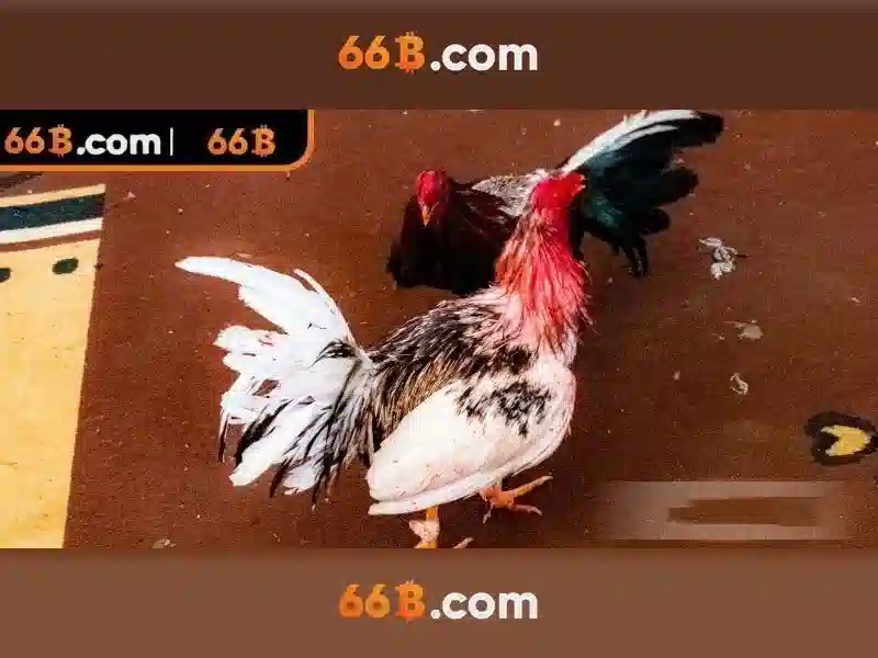 66B - 66B