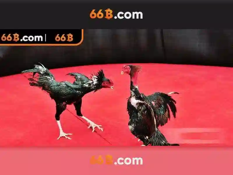  hướng dẫn 66B - 66B