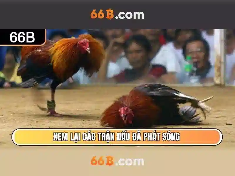  trang chủ Slot - 66B