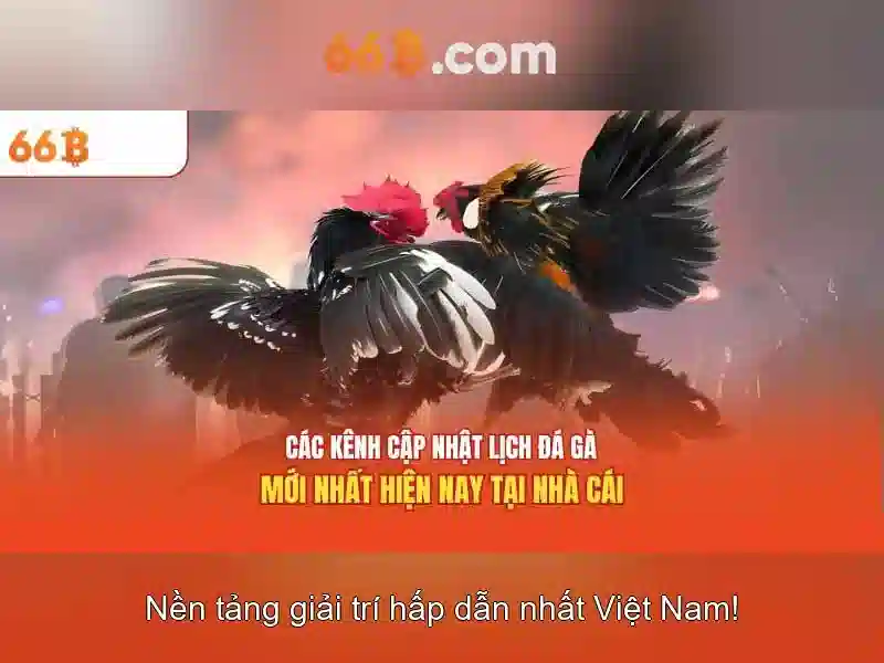  giải trí - 66B