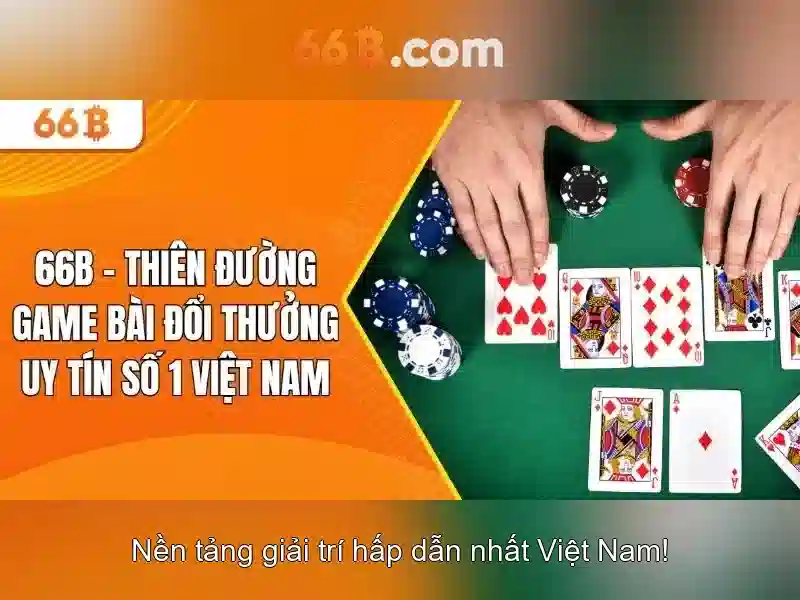  điều khoản - 66B
