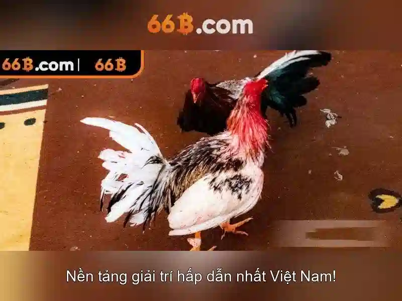 nạp tiền 66B - 66B