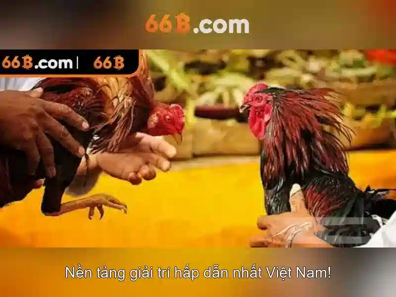 Rút Thưởng 66B – Trải Nghiệm Slot Đỉnh Cao Với Ưu Đãi Cực Hấp Dẫn 2026 - 66B