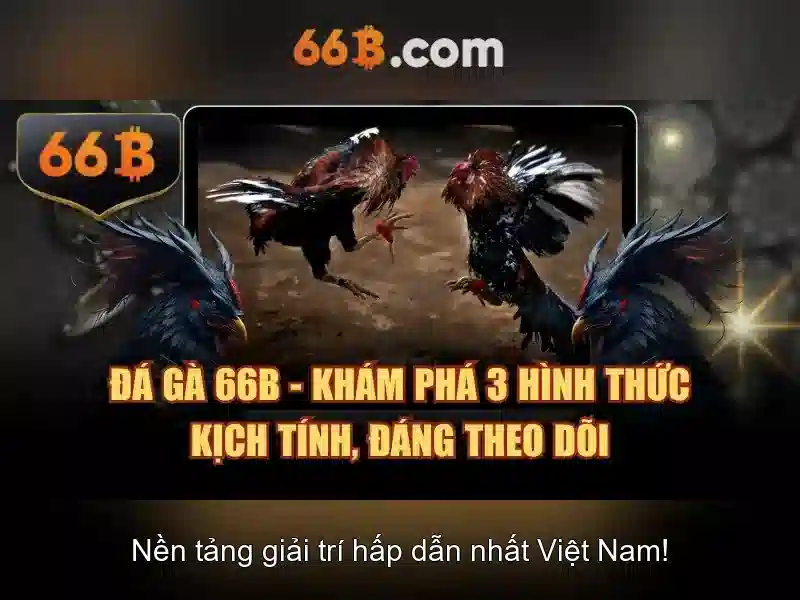 hướng dẫn 66B - 66B