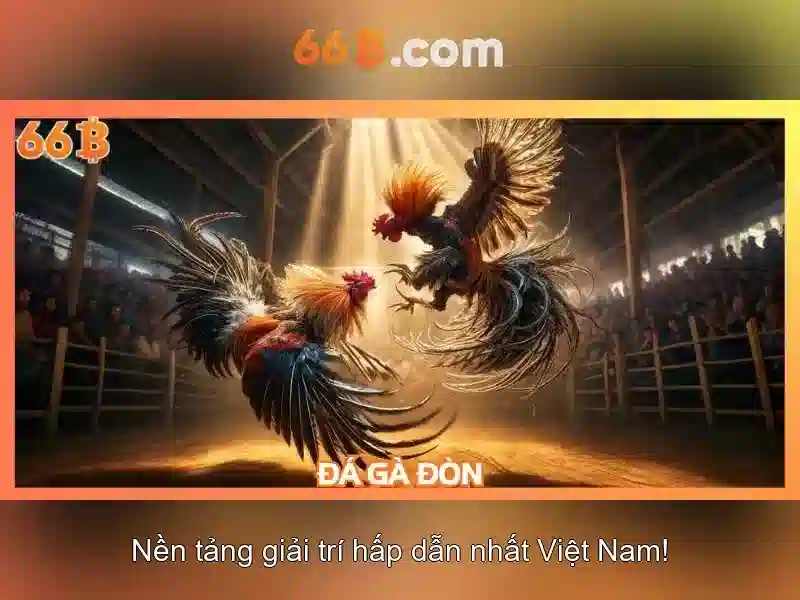 Hướng Dẫn Đăng Ký 66B Chi Tiết Và Hoàn Toàn Miễn Phí 2026 - 66B