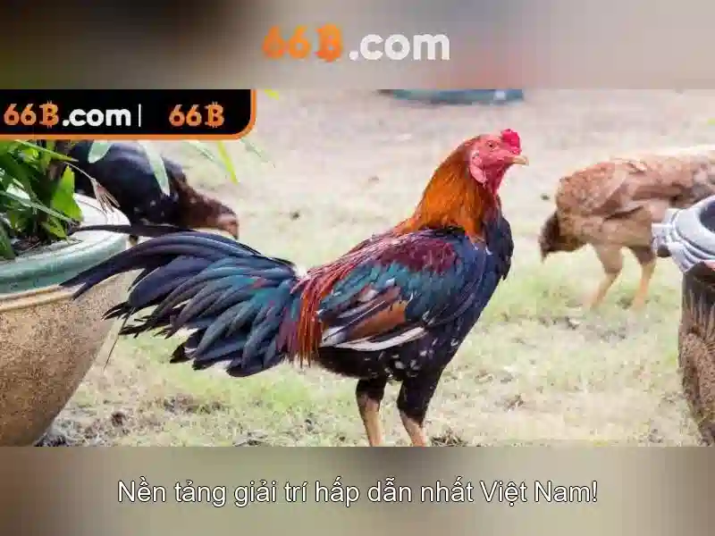 66B - Trải Nghiệm Hoàn Tiền 66b Hoàn Tiền Độc Quyền Cho Người Chơi Slot - 66B