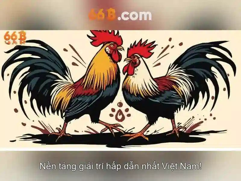 66B - 66B