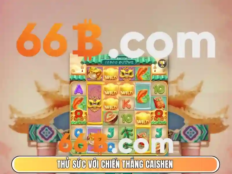  dịch vụ - 66B