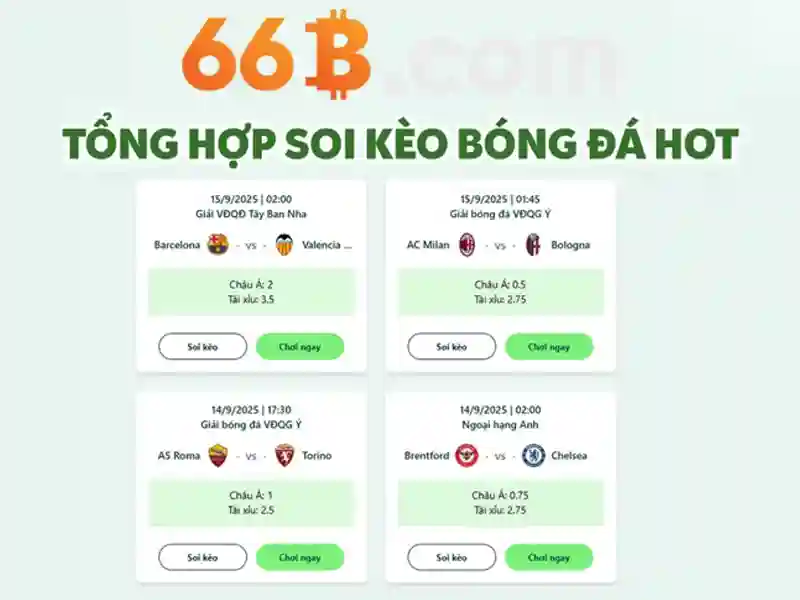 cá cược - 66B